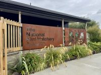 10. Tag: Rotorua bis Tongariro-Nationalpark – Besuch der National Kiwi Hatchery