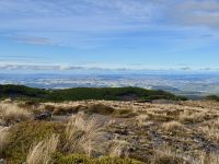 11. Tag: Tongariro-Nationalpark bis Wellington – Abstecher in Richtung Mount Ruapehu