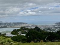 11. Tag: Tongariro-Nationalpark bis Wellington – Stadtrundfahrt in Wellington – Aussichtspunkt Mount Victoria Lookout