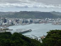 11. Tag: Tongariro-Nationalpark bis Wellington – Stadtrundfahrt in Wellington – Aussichtspunkt Mount Victoria Lookout