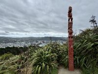 11. Tag: Tongariro-Nationalpark bis Wellington – Stadtrundfahrt in Wellington – Aussichtspunkt Mount Victoria Lookout
