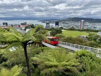 12. Tag: Freizeit in Wellington – Fahrt mit dem Cable Car zum Botanischen Garten