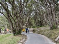 12. Tag: Freizeit in Wellington – Spaziergang durch den Botanischen Garten