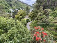12. Tag: Freizeit in Wellington – Spaziergang durch den Botanischen Garten