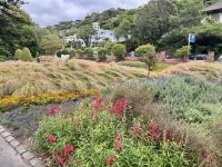 12. Tag: Freizeit in Wellington – Spaziergang durch den Botanischen Garten
