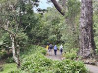 12. Tag: Freizeit in Wellington – Spaziergang durch den Botanischen Garten