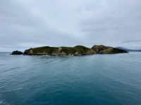 13. Tag: Wellington bis Kaikoura – Überfahrt mit der Fähre auf die Südinsel – Fahrt durch die Marlborough Sounds