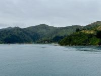 13. Tag: Wellington bis Kaikoura – Überfahrt mit der Fähre auf die Südinsel – Fahrt durch die Marlborough Sounds