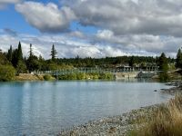 14. Tag – Kaikoura bis Lake Tekapo – Spaziergang am Lake Tekapo
