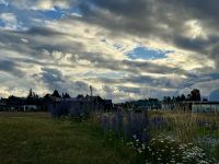 14. Tag – Kaikoura bis Lake Tekapo – Spaziergang am Lake Tekapo