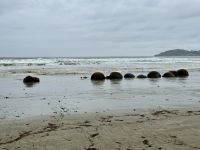 15. Tag: Lake Tekapo bis Dunedin – Spaziergang zu den Moeraki Boulders