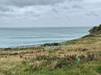 15. Tag: Lake Tekapo bis Dunedin – Seemöwen am Royal Abatross Centre