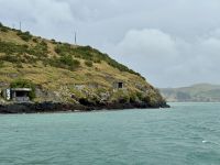 15. Tag: Lake Tekapo bis Dunedin – Bootstour zur Albatros-Beobachtung – Alte Bunkeranlagen