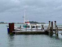 15. Tag: Lake Tekapo bis Dunedin – Bootstour zur Albatros-Beobachtung