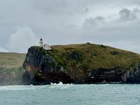 15. Tag: Lake Tekapo bis Dunedin – Bootstour zur Albatros-Beobachtung