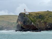 15. Tag: Lake Tekapo bis Dunedin – Bootstour zur Albatros-Beobachtung