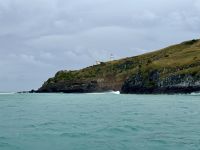 15. Tag: Lake Tekapo bis Dunedin – Bootstour zur Albatros-Beobachtung