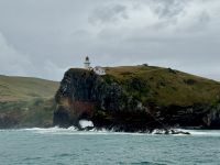 15. Tag: Lake Tekapo bis Dunedin – Bootstour zur Albatros-Beobachtung
