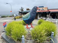 16. Tag: Dunedin bis Milford Sound – Mittagspause in Te Anau