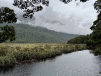 16. Tag: Dunedin bis Milford Sound – Kurzer Spaziergang zur den Mirror Lakes