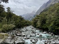 16. Tag: Dunedin bis Milford Sound – Fotostopp an der Donne River Bridge