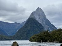 16. Tag: Dunedin bis Milford Sound – Ankunft im Milford Sound