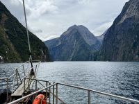 16. Tag: Dunedin bis Milford Sound – Bootstour durch den Milford Sound