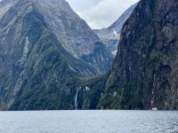 16. Tag: Dunedin bis Milford Sound – Bootstour durch den Milford Sound