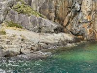 16. Tag: Dunedin bis Milford Sound – Bootstour durch den Milford Sound – Pelzrobben