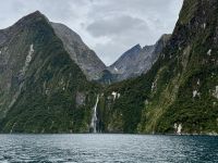 16. Tag: Dunedin bis Milford Sound – Bootstour durch den Milford Sound
