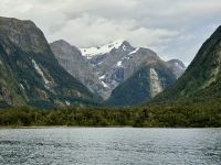 16. Tag: Dunedin bis Milford Sound – Bootstour durch den Milford Sound