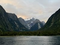16. Tag: Dunedin bis Milford Sound – Bootstour durch den Milford Sound