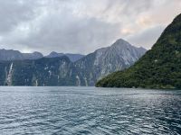 16. Tag: Dunedin bis Milford Sound – Bootstour durch den Milford Sound
