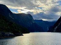17. Tag: Milford Sound bis Queenstown – Bootstour durch den Milford Sound, Teil 2