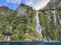 17. Tag: Milford Sound bis Queenstown – Bootstour durch den Milford Sound, Teil 2