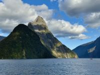 17. Tag: Milford Sound bis Queenstown – Bootstour durch den Milford Sound, Teil 2