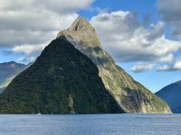 17. Tag: Milford Sound bis Queenstown – Bootstour durch den Milford Sound, Teil 2