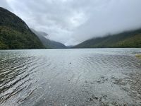 17. Tag: Milford Sound bis Queenstown – Spaziergang durch den Regenwald am Lake Gunn