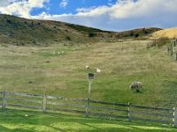 18. Tag: Freizeit in Queenstown – Fahrt mit der TSS Earnslaw zur Walter Peak Station