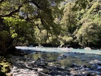 19. Tag: Queenstown bis Fox Glacier – Spaziergang zu den Thunder Creek Falls