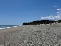 19. Tag: Queenstown bis Fox Glacier – Spaziergang am Ship Creek