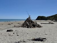 19. Tag: Queenstown bis Fox Glacier – Spaziergang am Ship Creek