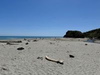 19. Tag: Queenstown bis Fox Glacier – Spaziergang am Ship Creek