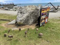 20. Tag: Fox Glacier bis Greymouth – Aufenthalt in Hokitika – Am Strand von Hokitika