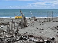20. Tag: Fox Glacier bis Greymouth – Aufenthalt in Hokitika – Am Strand von Hokitika