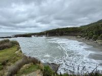 21. Tag: Greymouth bis Christchurch – Spaziergang auf dem Truman Track