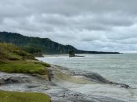 21. Tag: Greymouth bis Christchurch – Spaziergang auf dem Truman Track