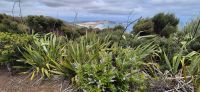 74 Cape Reinga