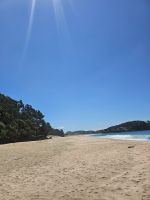 Hot Water Beach &ndash; &copy; Mariele Legler (Eberhardt TRAVEL)