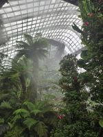 Gardens by the Bay - Cloud Forest 3 &ndash; &copy; Mariele Legler (Eberhardt TRAVEL)